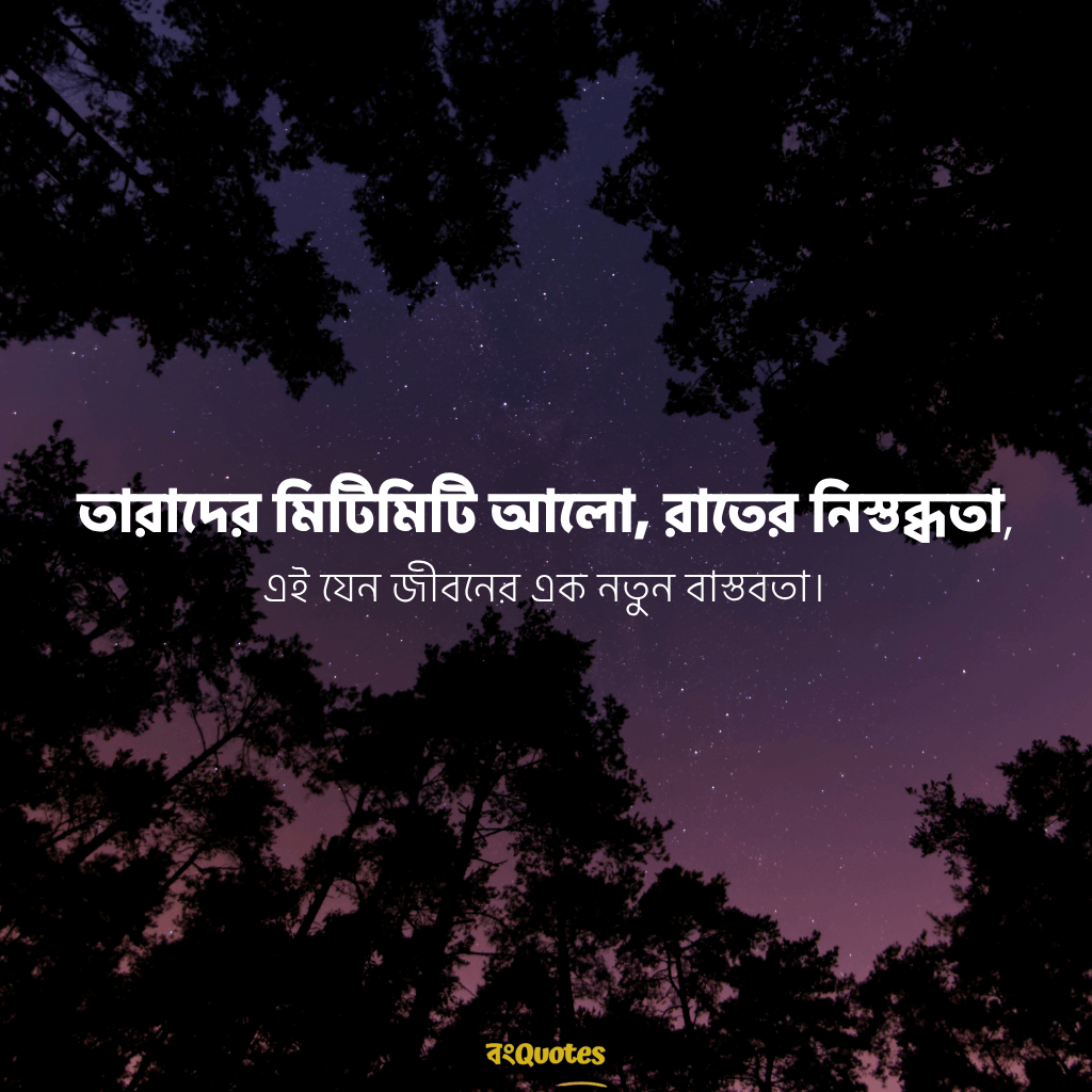 রাতের নিস্তব্ধতা নিয়ে ক্যাপশন 17