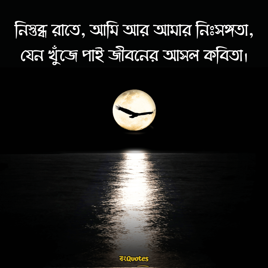 রাতের নিস্তব্ধতা নিয়ে ক্যাপশন 19