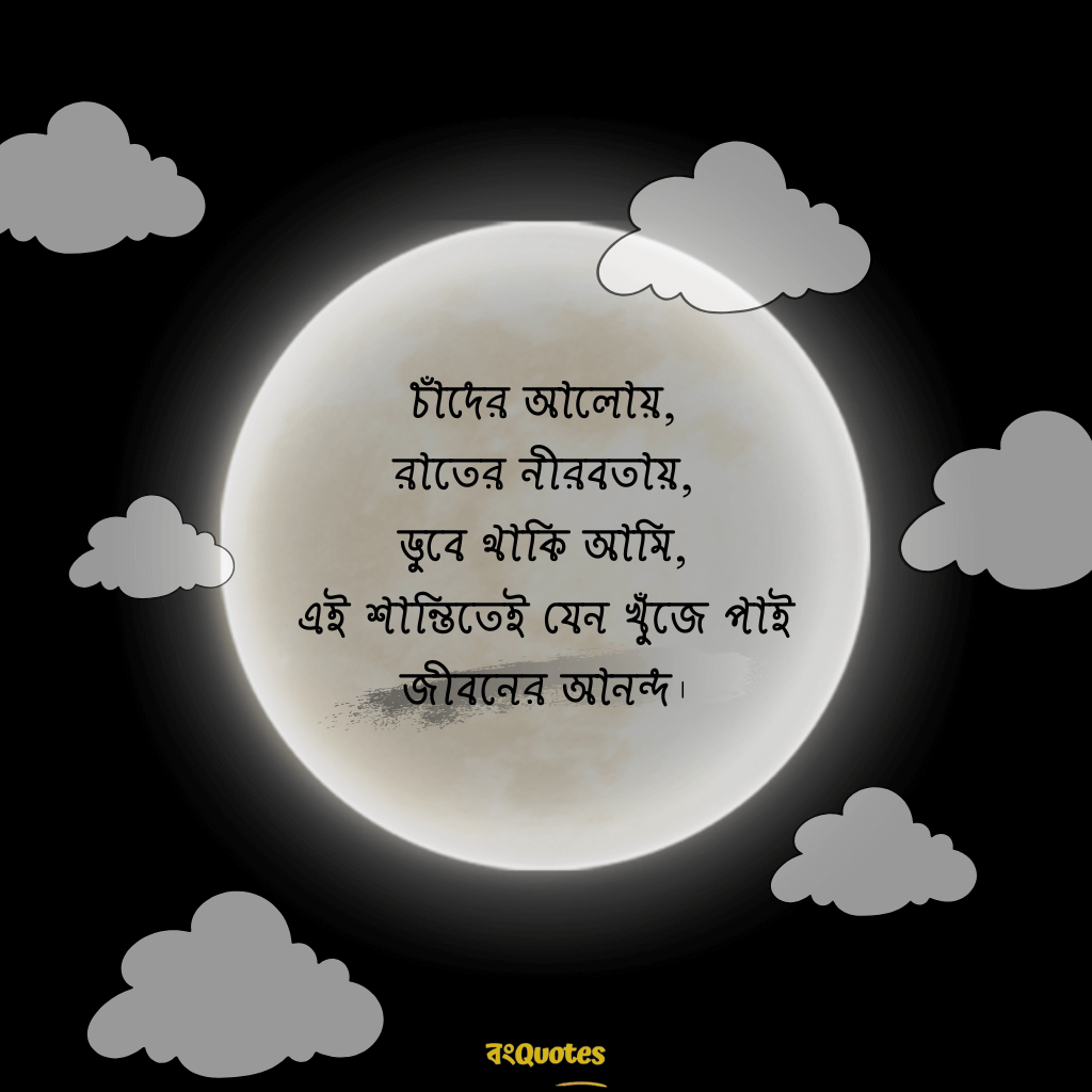 রাতের নিস্তব্ধতা নিয়ে ক্যাপশন 13
