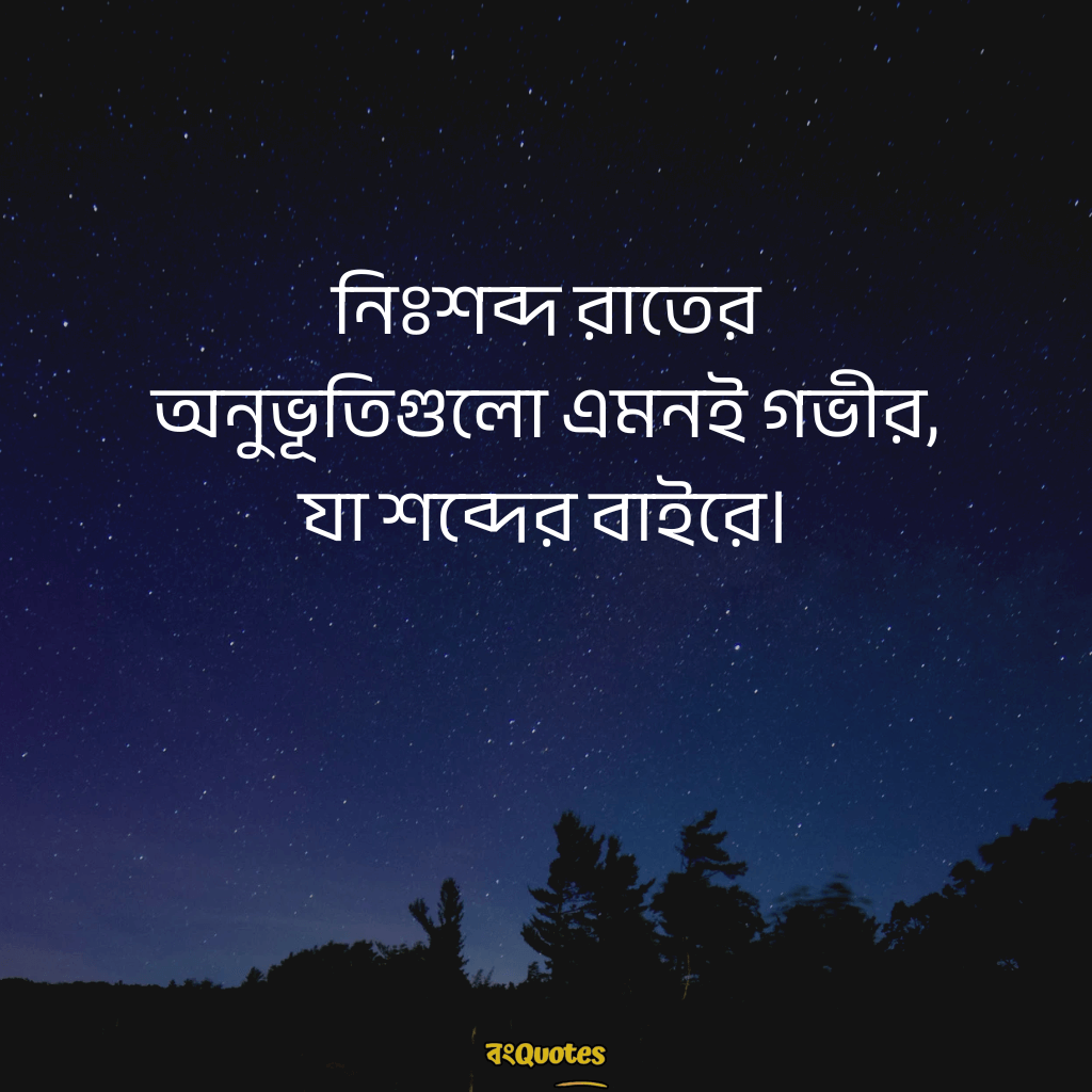 রাতের নিস্তব্ধতা নিয়ে ক্যাপশন 7