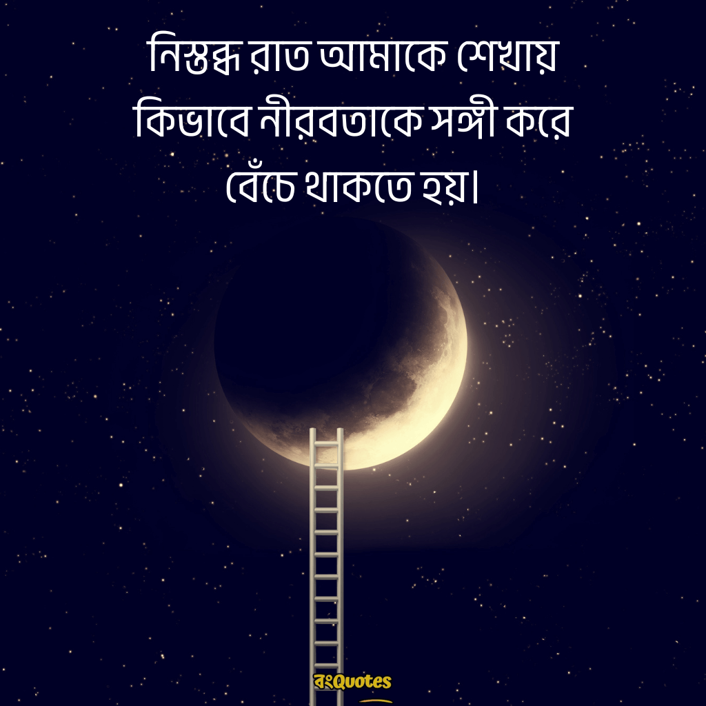 রাতের নিস্তব্ধতা নিয়ে ক্যাপশন 8
