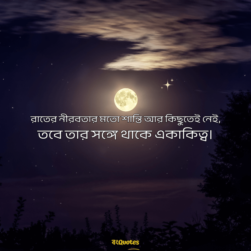 রাতের নিস্তব্ধতা নিয়ে ক্যাপশন 9