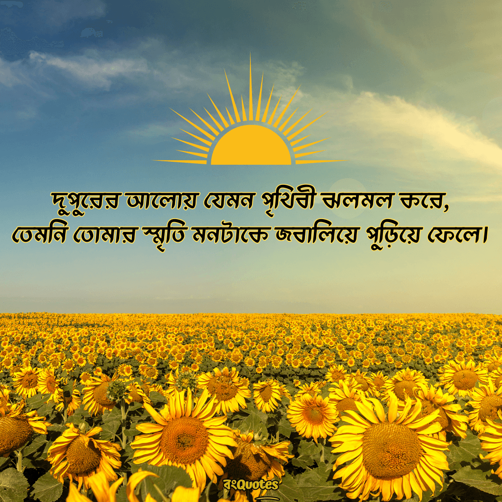 দুপুরের রোদ নিয়ে ক্যাপশন 12