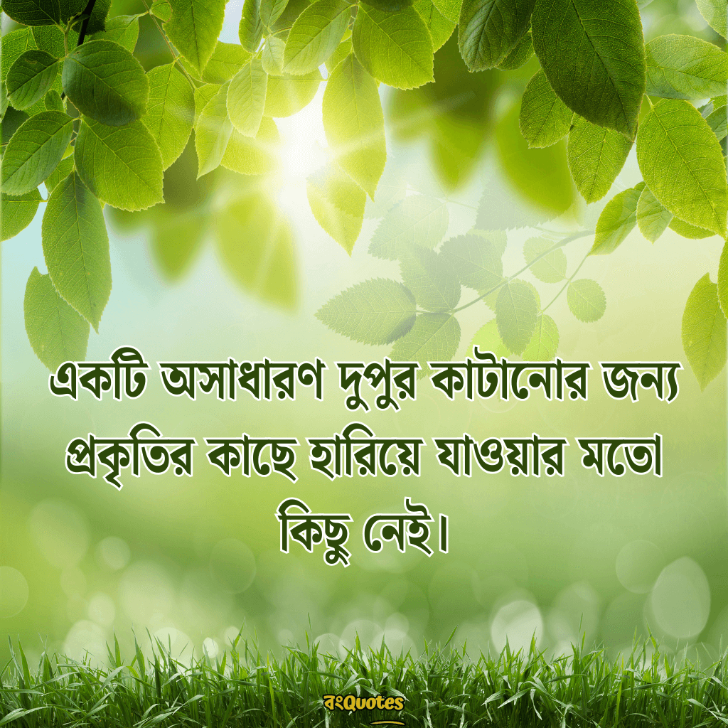 দুপুরের রোদ নিয়ে ক্যাপশন 11