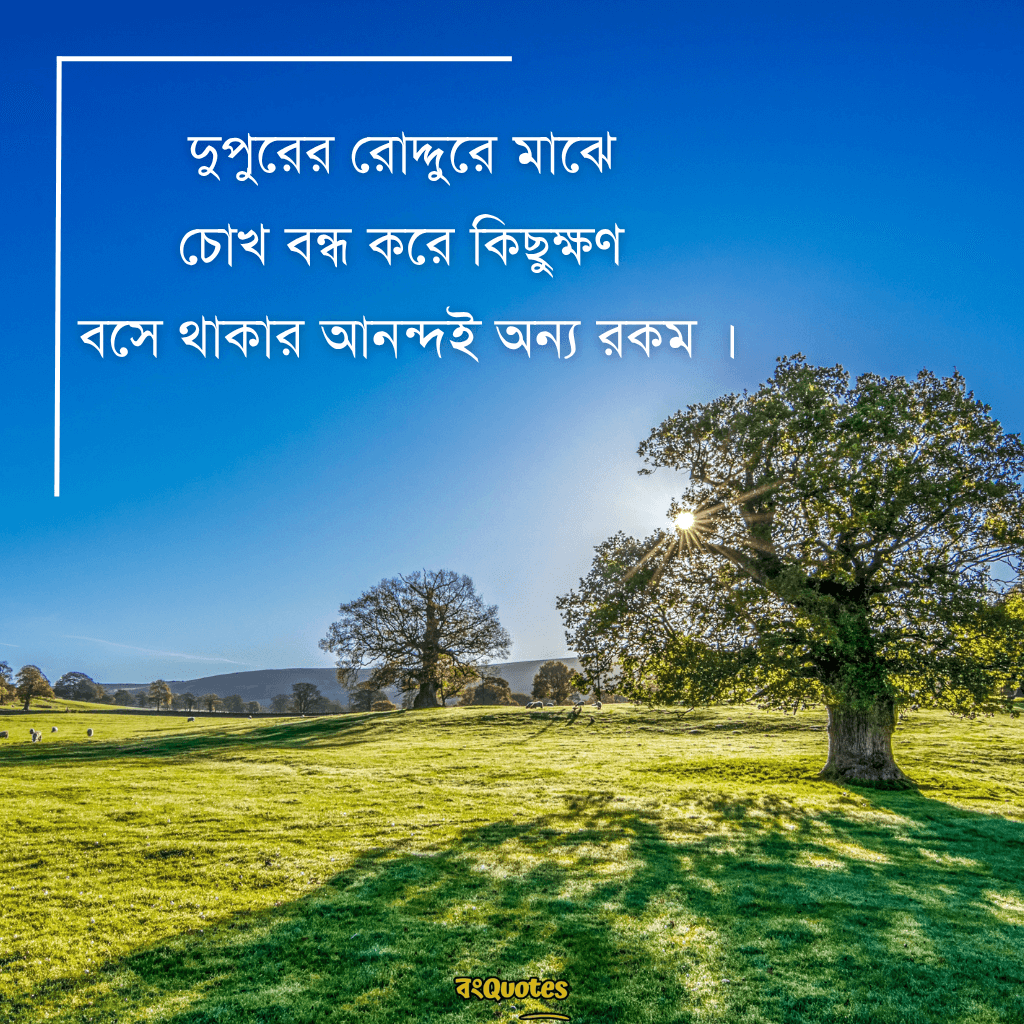 দুপুরের রোদ নিয়ে ক্যাপশন 16