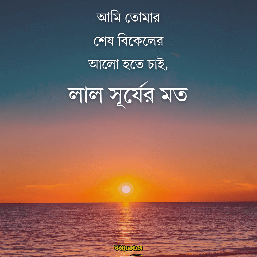 শেষ বিকেলের সূর্য নিয়ে ক্যাপশন 1