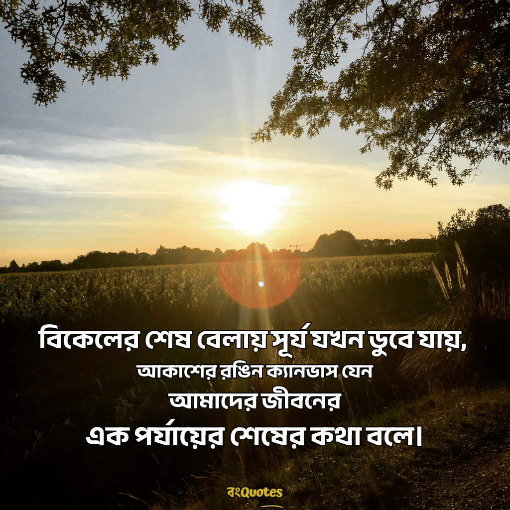 শেষ বিকেলের সূর্য নিয়ে ক্যাপশন 10