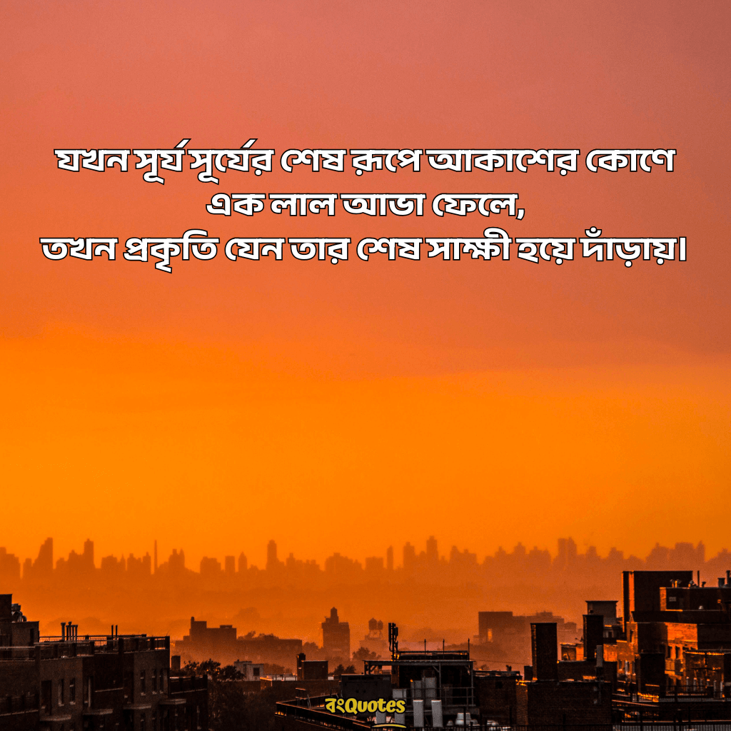 শেষ বিকেলের সূর্য নিয়ে ক্যাপশন 12