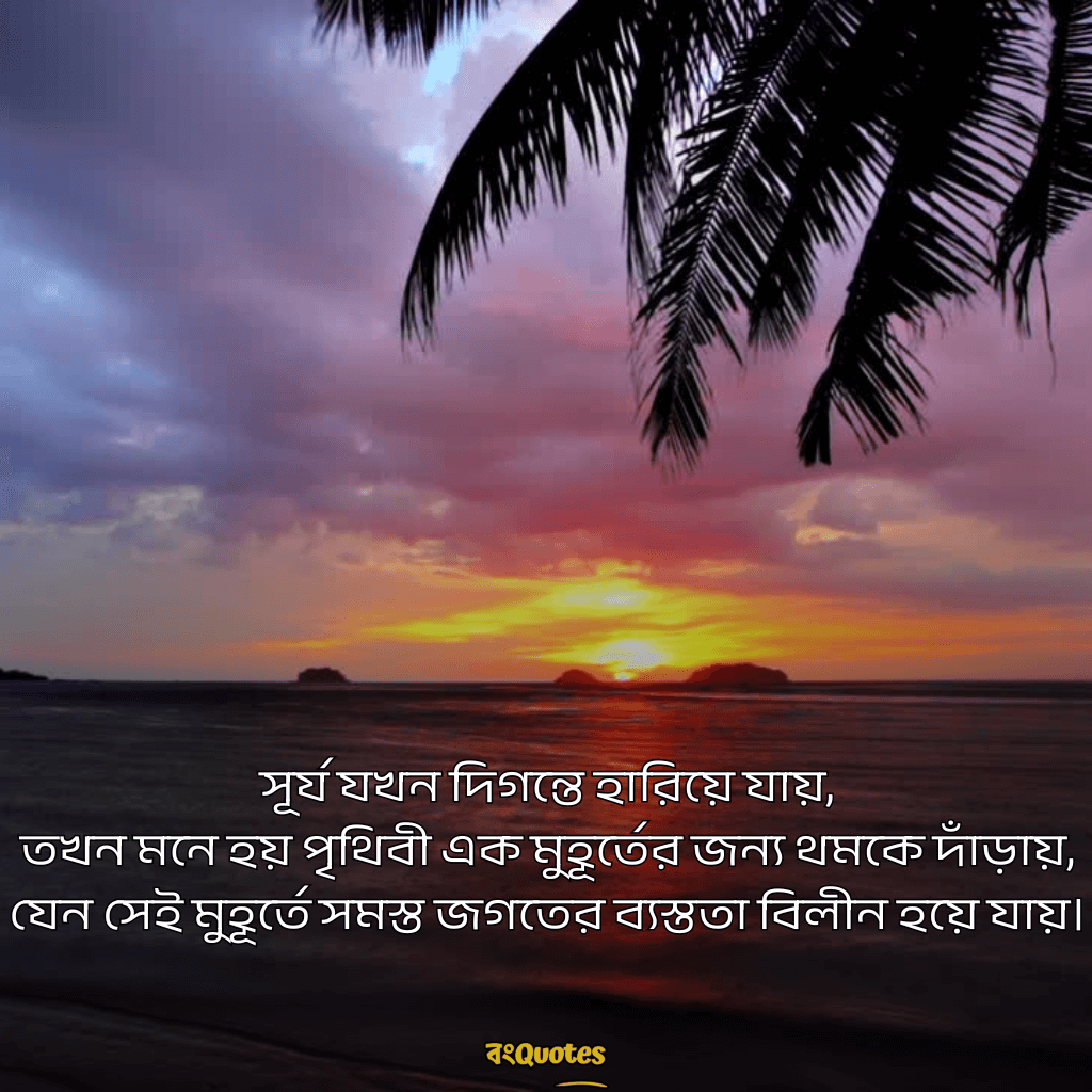 শেষ বিকেলের সূর্য নিয়ে ক্যাপশন 13