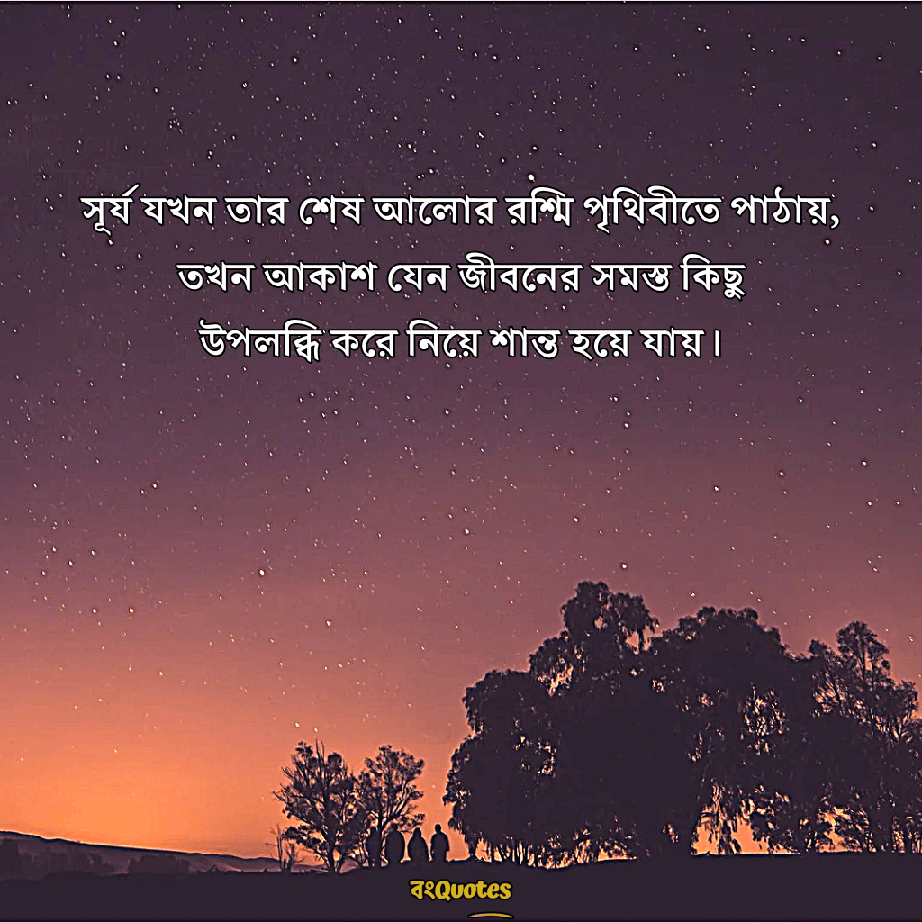 শেষ বিকেলের সূর্য নিয়ে ক্যাপশন 16