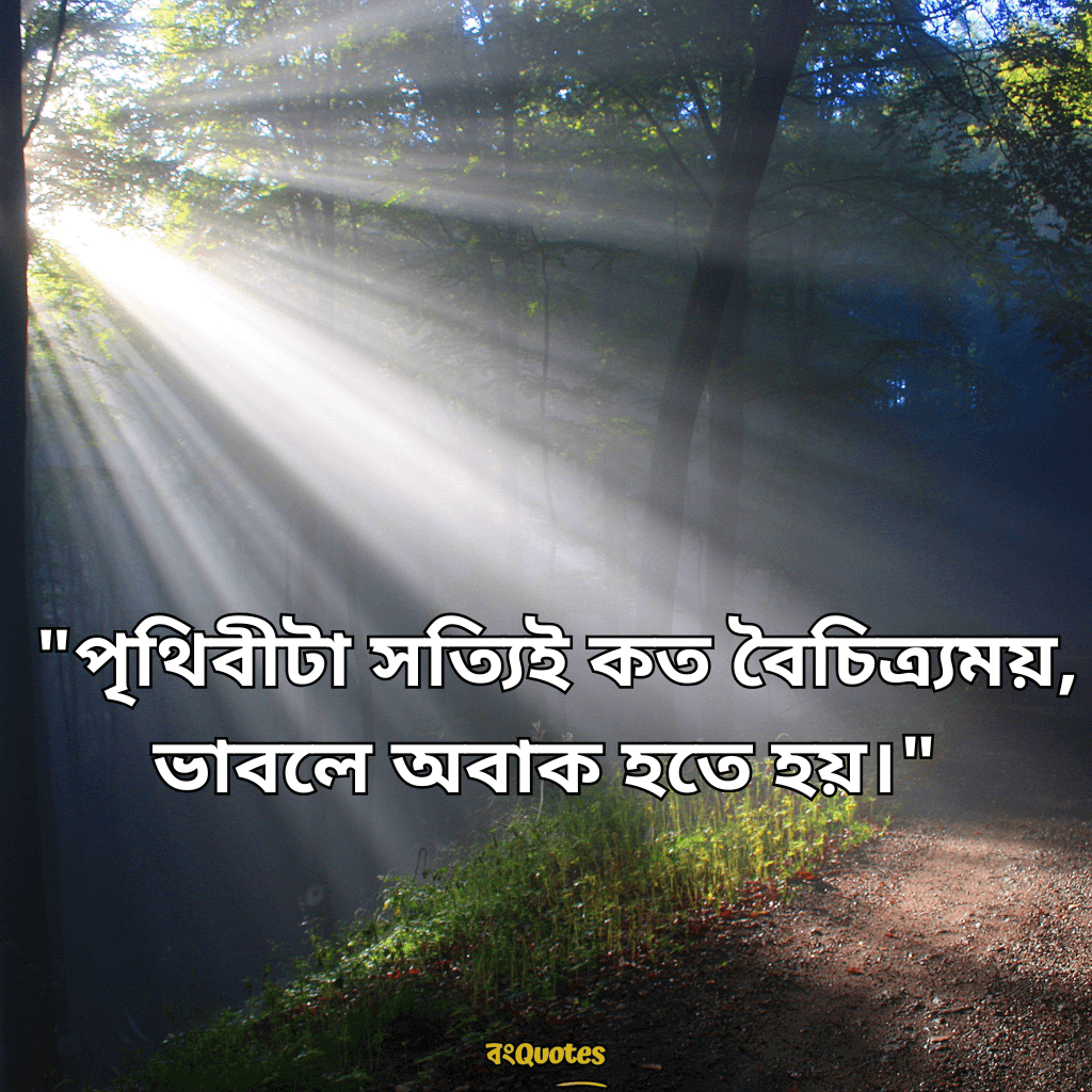 অবাক করা ফেসবুক ক্যাপশন 5