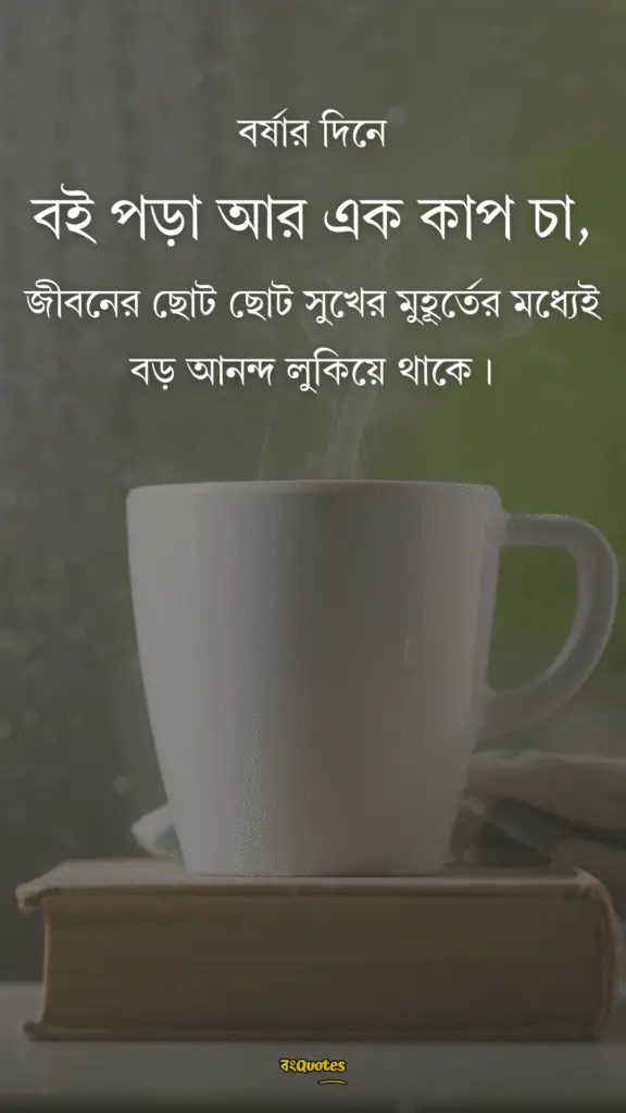 বর্ষা নিয়ে ক্যাপশন 1