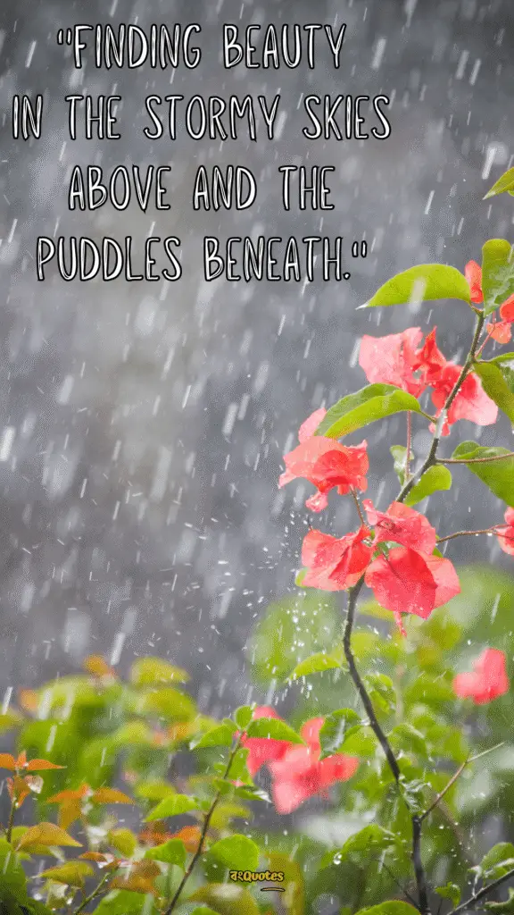 বর্ষা নিয়ে ক্যাপশন 14