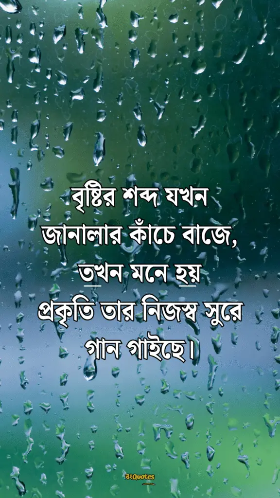বর্ষা নিয়ে ক্যাপশন 3