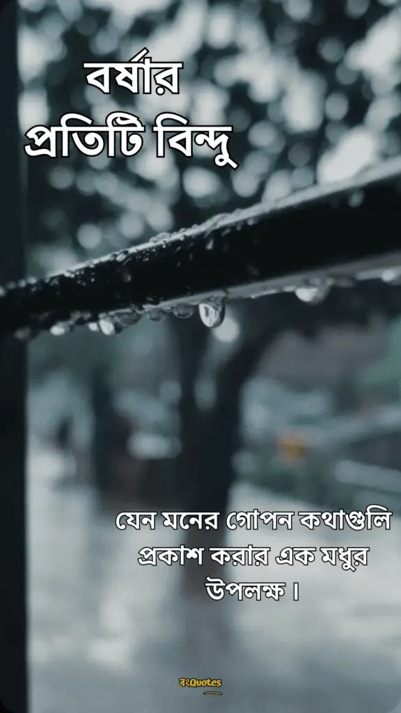 বর্ষা নিয়ে ক্যাপশন 4