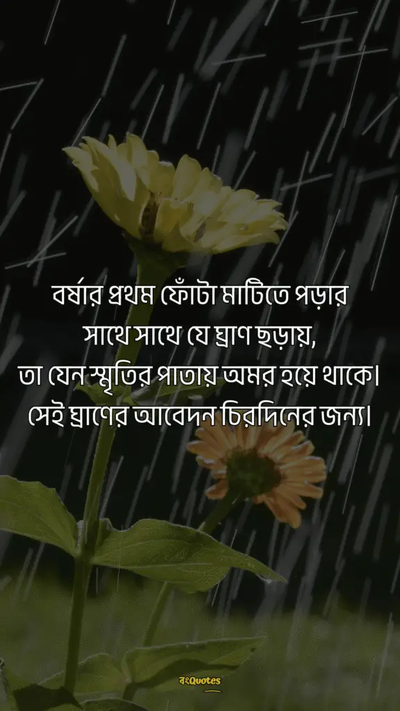 বর্ষা নিয়ে ক্যাপশন 7