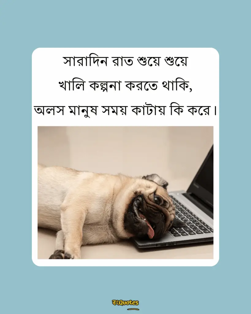 ফেসবুক স্ট্যাটাস 14