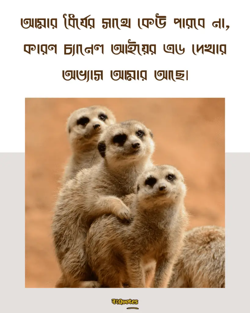 ফেসবুক স্ট্যাটাস 7