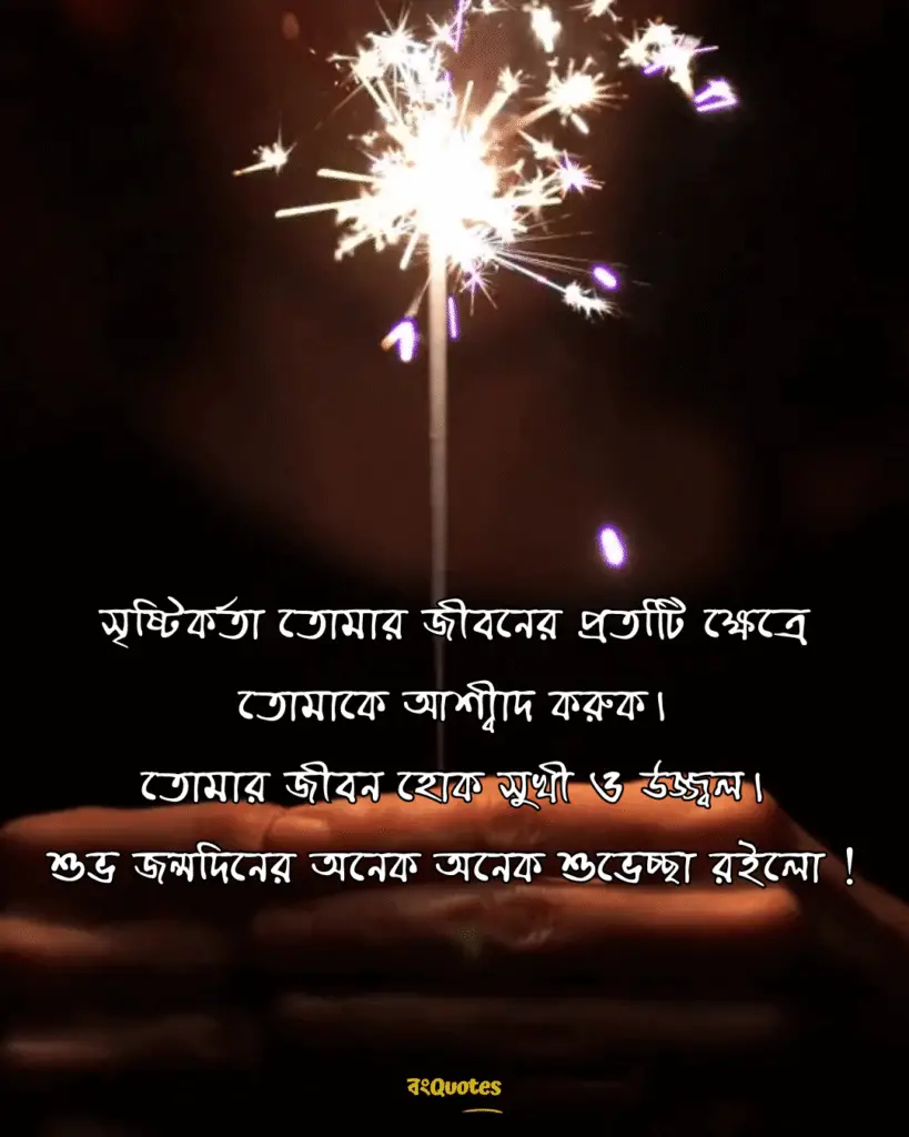 বান্ধবীর জন্মদিনের শুভেচ্ছা স্ট্যাটাস 2