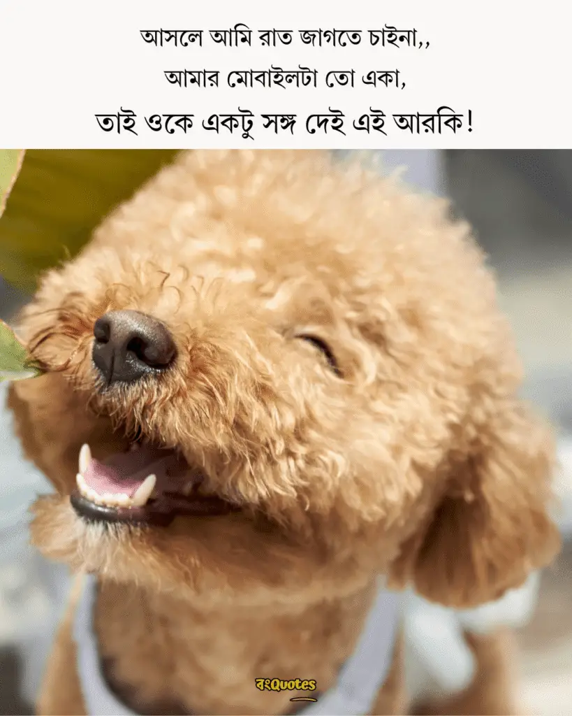 ফানি পোস্ট 1