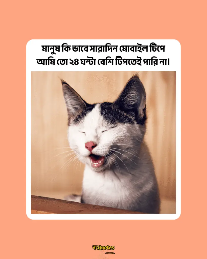 ফানি পোস্ট 10
