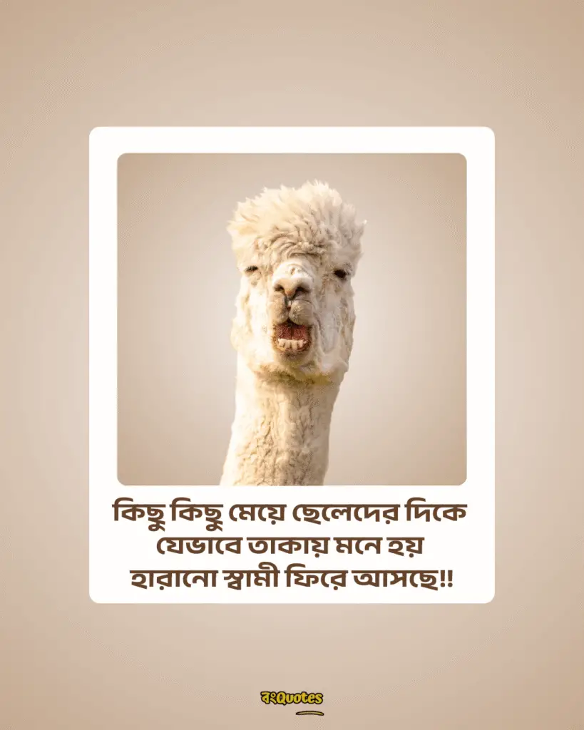 ফানি পোস্ট 11