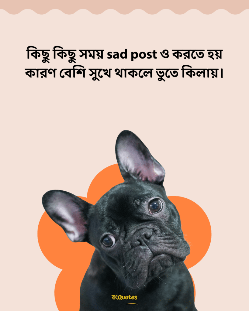 ফানি পোস্ট 2