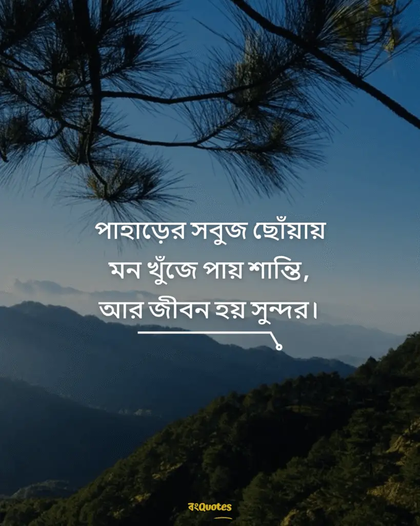 সবুজ পাহাড় নিয়ে ক্যাপশন 15
