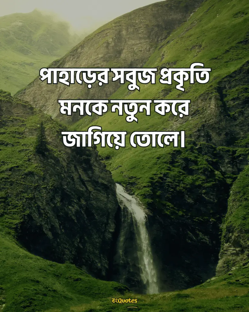 সবুজ পাহাড় নিয়ে ক্যাপশন 18