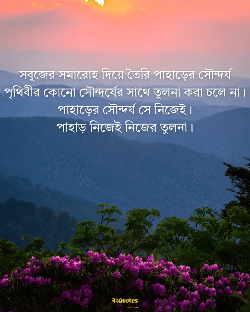 সবুজ পাহাড় নিয়ে ক্যাপশন 19