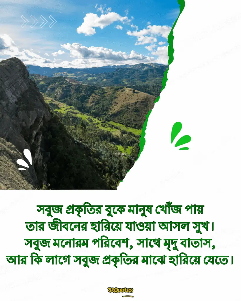 সবুজ পাহাড় নিয়ে ক্যাপশন 4