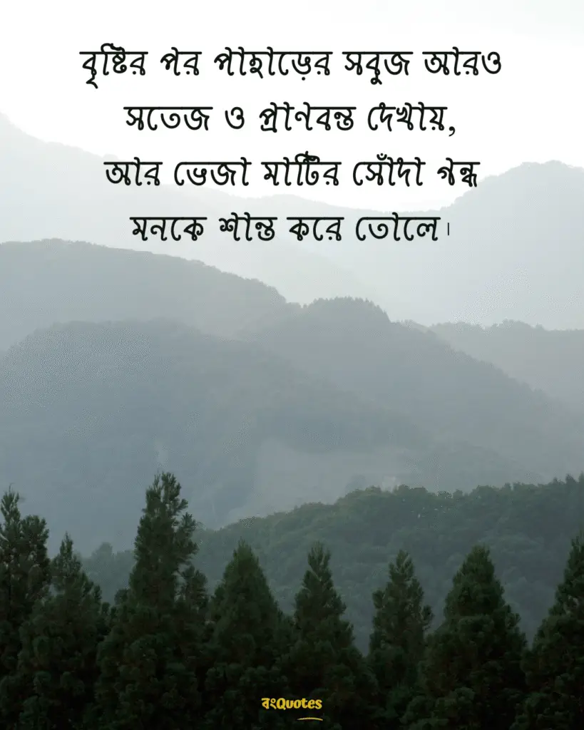 সবুজ পাহাড় নিয়ে ক্যাপশন 9