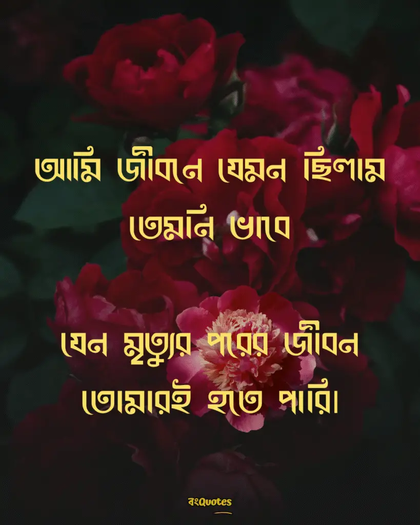 স্বামীকে নিয়ে ক্যাপশন 9