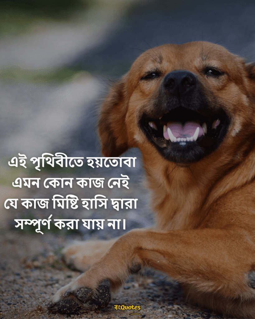 মিষ্টি হাসি নিয়ে ক্যাপশন 17