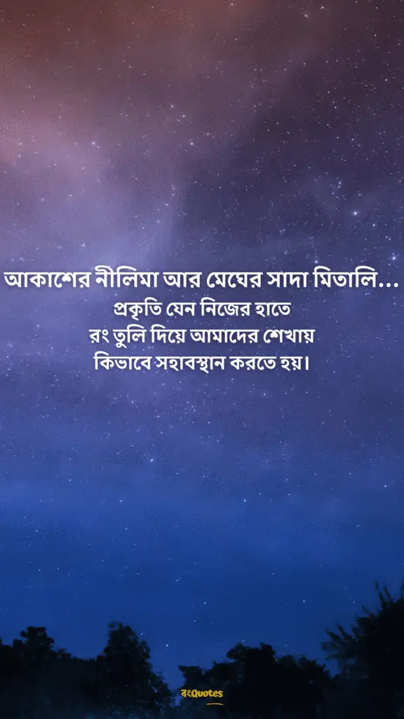 আকাশ নিয়ে ক্যাপশন 14
