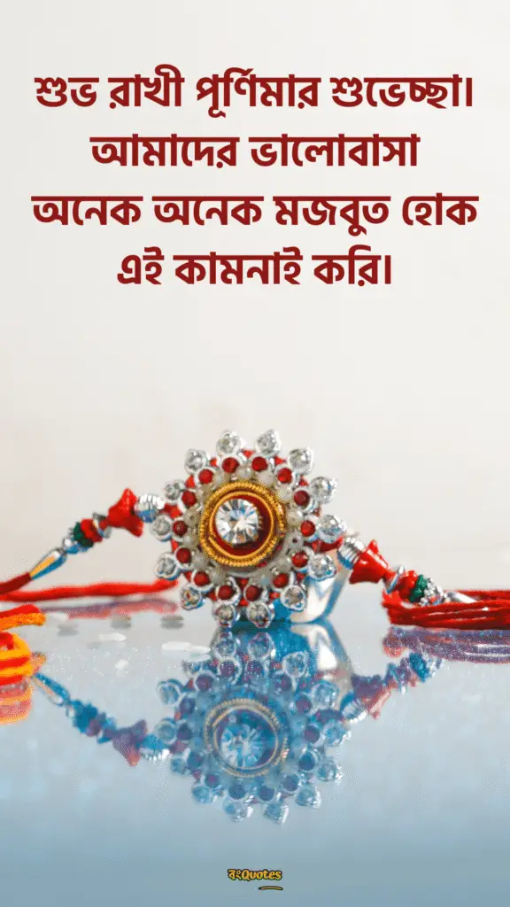 রাখি বন্ধনের শুভেচ্ছা বার্তা 1