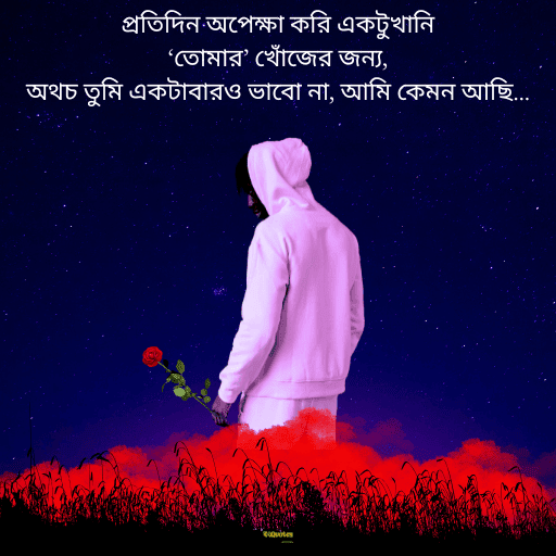 আবেগী কষ্টের স্ট্যাটাস 14