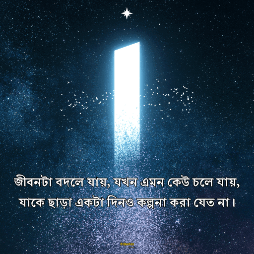 আবেগী কষ্টের স্ট্যাটাস 15