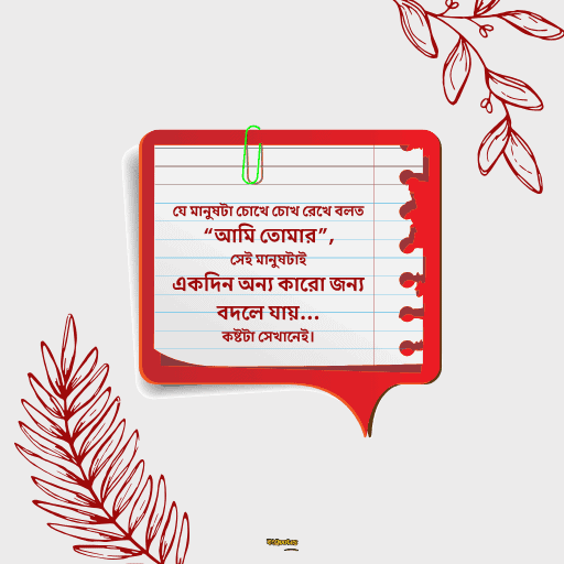 আবেগী কষ্টের স্ট্যাটাস 17