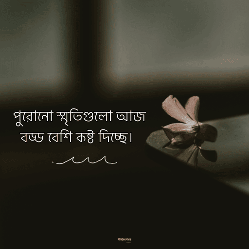 আবেগী কষ্টের স্ট্যাটাস 18