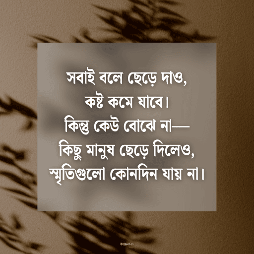 আবেগী কষ্টের স্ট্যাটাস 5
