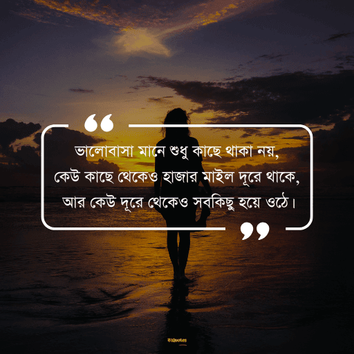 আবেগী কষ্টের স্ট্যাটাস 8
