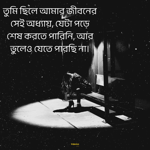 আবেগী কষ্টের স্ট্যাটাস 9
