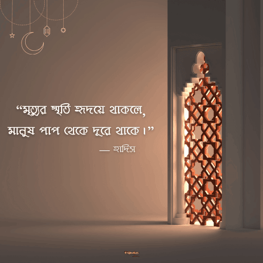 স্মৃতি নিয়ে উক্তি 17