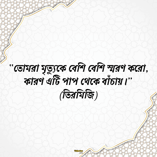 স্মৃতি নিয়ে উক্তি 18