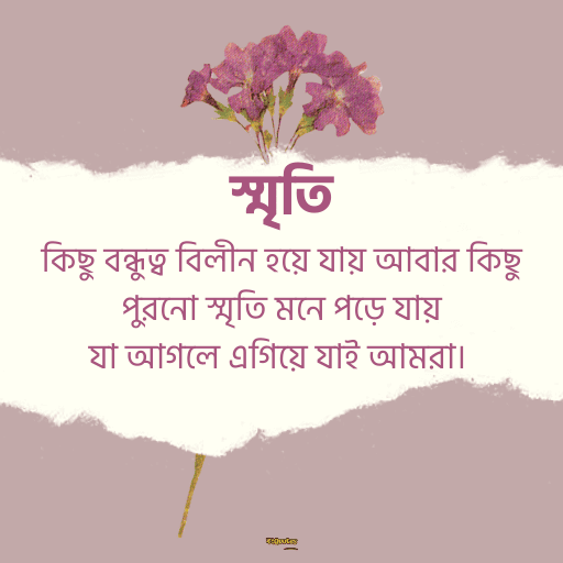 স্মৃতি নিয়ে উক্তি 5