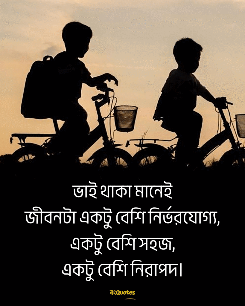 ভাই নিয়ে ক্যাপশন 9