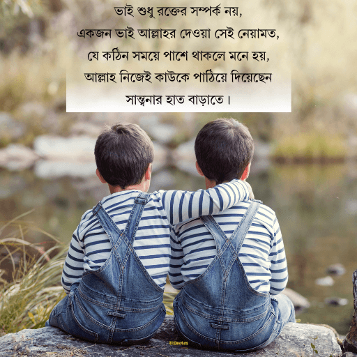 ভাই নিয়ে ক্যাপশন 14