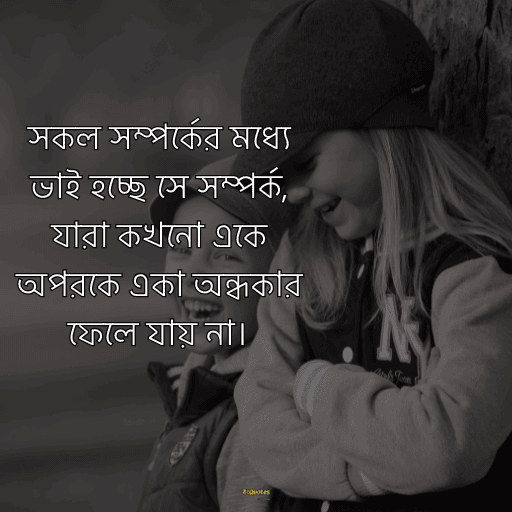 ভাই নিয়ে ক্যাপশন 28