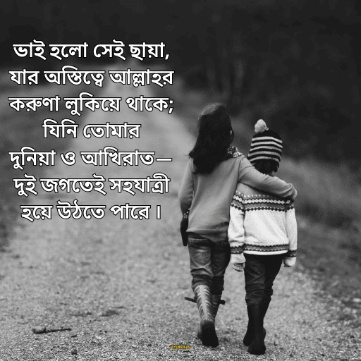 ভাই নিয়ে ক্যাপশন 16